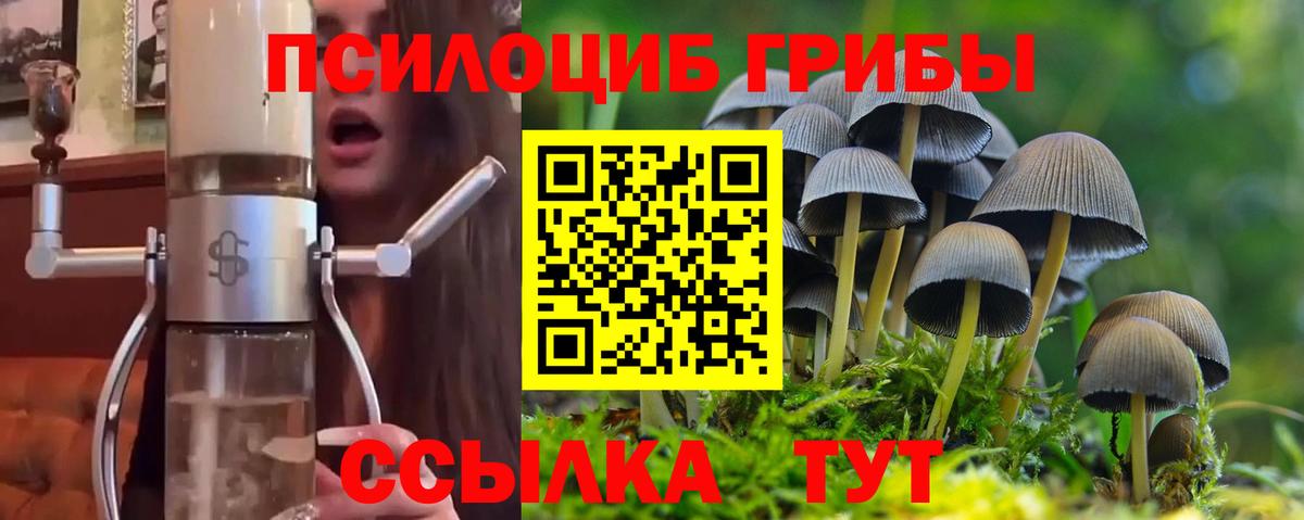Псилоцибиновые грибы Cubensis Славянск-на-Кубани